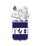 Siver Custom Coin